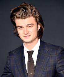 We did not find results for: Stranger Things Joe Keery Steve Harrington Hair Product