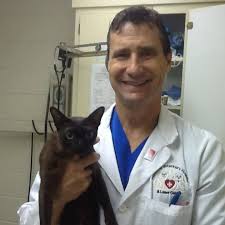 Access pasadena specialty animal hospital offers 24x7 emergency services as well as cardiology, neurology, oncology, surgery, and advanced critical care. Pasadena Veterinary Hospital Home Facebook