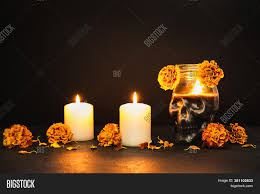 We did not find results for: Burning Candles Skull Image Photo Free Trial Bigstock