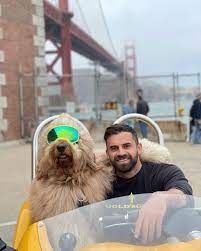 Brodie The Goldendoodle on Instagram: “Brodie has many nicknames, we can now add “King of 'Frisco” to the list. We were only in San Fran for 2 days but Brodie deff got