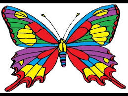 Kết quả hình ảnh cho bướm