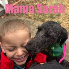 Small Miracles Cat and...