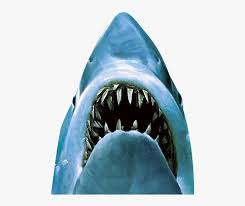 Maybe you would like to learn more about one of these? Jaws Movie Poster Fanart Tv Hd Png Download Kindpng