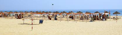 Check spelling or type a new query. Praia Da Alagoa Altura