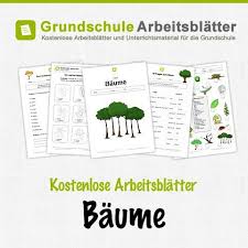 Kostenlose Arbeitsblatter Und Unterrichtsmaterial Fur Den Sachunterricht Zum Thema Baume In Der Grundschule Grundschule Arbeitsblatter Grundschule Unterrichtsmaterial Grundschule