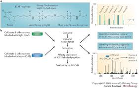 Image result for Group B Streptococcus Prophylaxis