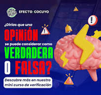 EfectoCocuyo - 🎊 El Festival Internacional de La Orquídea ...