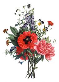 Pin On Botanical