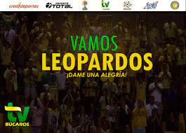 Toda la información de club atlético bucaramanga. Atletico Bucaramanga A Twitteren Hoy Juega Lo Mas Lindo El Equipo De Mi Alma Yo Te Llevo Dentro De Mi Corazon Vamos Leopardos