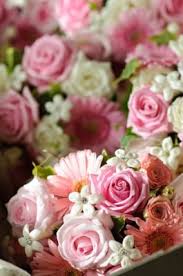 Maybe you would like to learn more about one of these? Fortin Gage Flowers Gifts 86 W Pearl St Nashua Nh Florists Mapquest