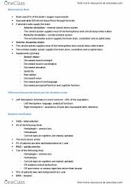 Phty302 Lecture Notes Spring 2017 Lecture 2 Internal Carotid Artery Hemianopsia Hemiparesis