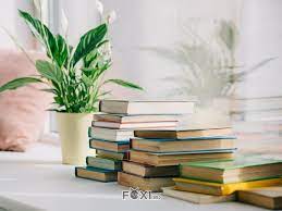 Poze cu carti de citit. Cele Mai Frumoase 100 De Carti De Citit Intr O Viata