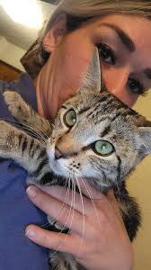 ✨UPDATE✨ We've located Gwen!! Thank you to everyone who helped with tips,  tricks, and just getting out there to look for her💕 I appreciate you all  more than you know! PLEASE HELP!