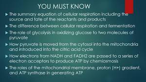 Aerobic respiration requires oxygen (o2) in order to create atp. Cellular Respiration Fermentation Ppt Download