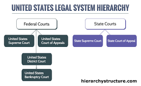 Hierarchy Of United States Legal System Hierarchy Structure