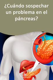 Sabes Cuando Debes Sospechar Un Problema En El Pancreas El Pancreas Dolor De Pancreas Beneficios De Las Verduras