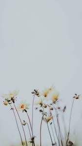 Hd wallpapers and background images. Take A Chill Pill With 10 Mindful Iphone Wallpapers Preppy Wallpapers Nature Iphone Wallpaper Preppy Wallpaper Iphone Wallpaper Preppy