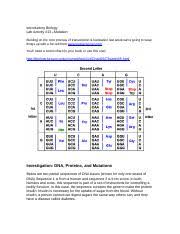 Deoxyribonucleic acid is a molecule composed of two polynucleotide chains that coil around each other to form a double helix carrying genetic instructions for the development, functioning. Investigation Dna Proteins And Mutations Docx Name Investigation Dna Proteins And Mutations Below Are Two Partial Sequences Of Dna Bases Shown For Course Hero