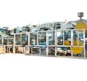 [Hot Item] Full-Automatic Adult Diaper Machine (RL-CNK-100)