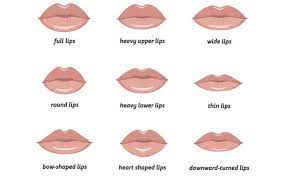 Check spelling or type a new query. Different Types Of Lips Ways To Make Them Look Flawless Skinkraft