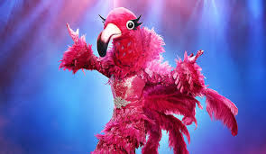 Thingamajig and leopard walked in a winter wonderland all the way home as the masked singer singer and husband caspar jopling expecting first child. The Masked Singer Preview Black Widow Eagle Flamingo Flower Fox Goldderby