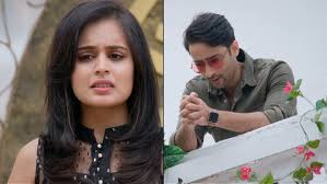 Image result for MishBir