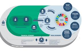 Financial Investment Guides