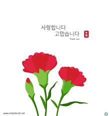 Seekpng provides high quality png images with transparent background. ì¹´ë„¤ì´ì…˜ Png Archives Urbanbrush