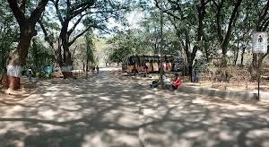 Top 18 things to do in Borivali ...