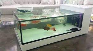 Model Meja Ruang Tamu Aquarium Unik Aquarium Coffee Table Coffee Table Table Design