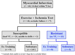 Frontiers Endurance Exercise Training Reduces Cardiac