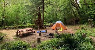 Find Reserve The Best Campsites Near Portland Oregon Tent Cabin Rv Camp On Private State Parks On Local Nature Camping Best Campgrounds Moulton Falls