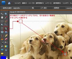 画像の切り抜き トリミング 初心者でもできる Adobe Photoshop Elements7 フォトショップエレメンツ７ 操作マニュアル 使い方 Sierrarei シエラレイ