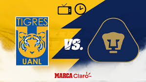 Boca juniors, river plate, racing, defensa y justicia y tigre se preparan para la fecha definitiva de la fase de grupos. Partidos De Hoy Como Quedo El Resultado De Tigres Vs Pumas Jornada 8 Liga Mx Clausura 2020 Marca Claro Mexico
