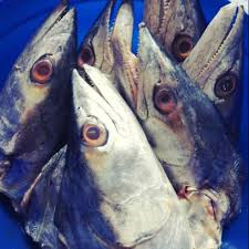 Ikan tenggiri boleh dimasak dengan pelbagai cara dan terdapat pelbagai resepi ikan tenggiri di malaysia. Ikan Tenggiri Meaning In Tamil