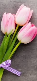 We did not find results for: Three Pink Tulips Bouquet Gray Background 1125x2436 Iphone 11 Pro Xs X Wallpaper Background Picture Image