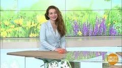 двое против смерти 5 и 6 серии смотреть онлайн Dvoe Protiv Smerti 1 I 2 Serii