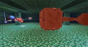 Explore origin 0 base skins used to create this skin. Axolotl In Minecraft Wo Fangen So Helfen Sie Im Kampf Und Heilen