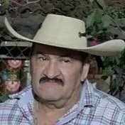 Christina Arana's Instagram, Twitter & Facebook