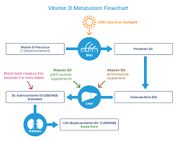 Vitamin D Deficiency Symptoms Supplements Foods Drugs Com