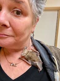 No politics here. Was working at the Savannah airport and watched Trump's  757 land. Note the Bell in the background as it definitely picked up a few  guys carrying boomsticks and watched