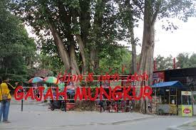 Untuk menyemarakkan suasana lebaran, tiket masuk waduk gajah mungkur bisa kamu dapatkan dengan gratis. 6 Aktivitas Di Obyek Wisata Waduk Gajah Mungkur Halaman All Kompas Com