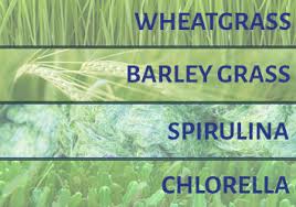 It works well in conjugation with exercise and delivers the desired results. Top 4 Superfoods Wheatgrass Barley Grass Spirulina Chlorella