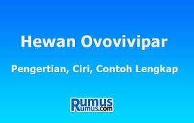 Maybe you would like to learn more about one of these? Hewan Ovovivipar Pengertian Ciri Contoh Lengkap