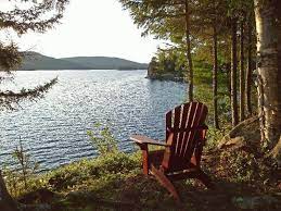 Lake Love Lake Cabins Outdoor Lake