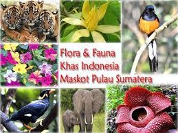 Maybe you would like to learn more about one of these? Flora Fauna Maskot Provinsi Di Pulau Sumatera Irvan Basri Youtube