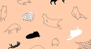 An amazing collection of pusheen wallpaper and backgrounds available for download for free. 54 Pusheen Cat Desktop