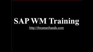 3,621 warehouse supervisor jobs and careers on jobsora.com. Sap Wm Training Introduction To Sap Wm Video 1 Sap Wm Warehouse Management Youtube