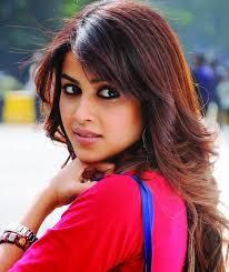 Genelia D'Souza - Films, Biographie et Listes sur MUBI