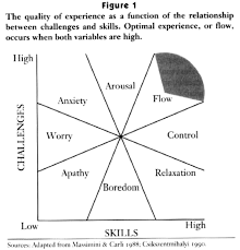 wholerunner flow is the runners high wholebeing institute